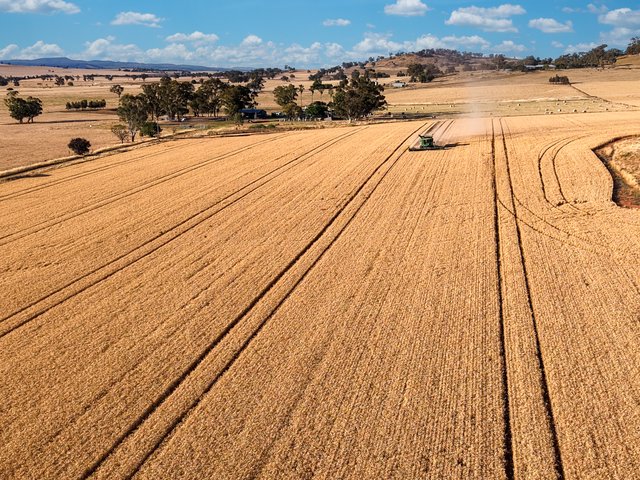 530 Billimari Road, NSW 2794