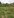 9 Millar Street, Lismore Heights NSW 2480, Lismore Heights - Thumbnail 2