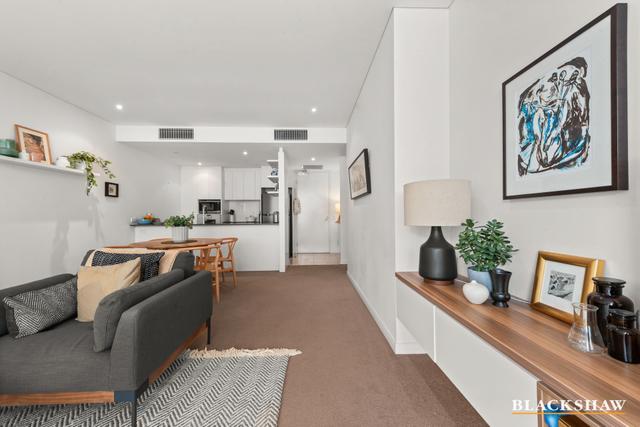 14/19 Leichhardt Street, ACT 2604
