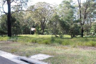 View of block (2010-06-07)