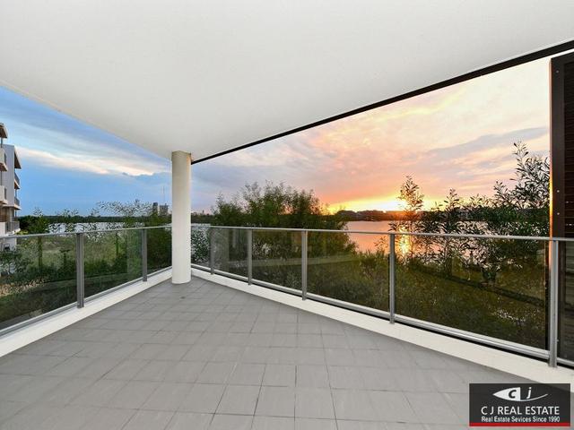 301/16 Sevier Avenue, NSW 2138