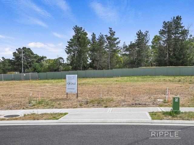 Lot 20 Magus Terrace, TAS 7017