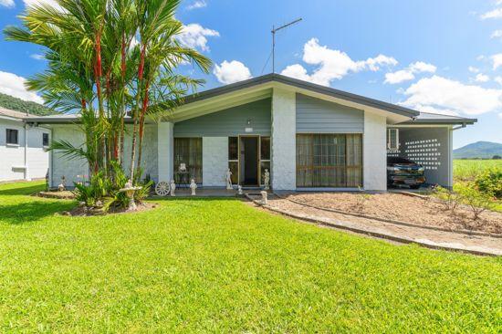 19 Peever Road, QLD 4861