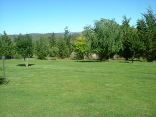 Spring/Summer view (2017-08-01)