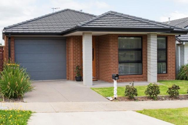 36 Horsetail Way, VIC 3818