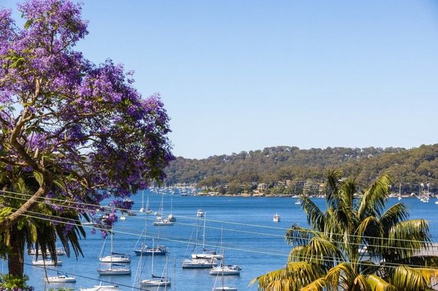 19 Bakers Road, NSW 2105