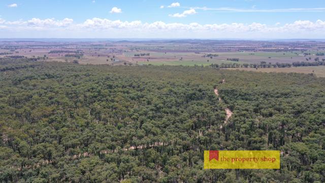 538-735 Laheys Creek Road, NSW 2844