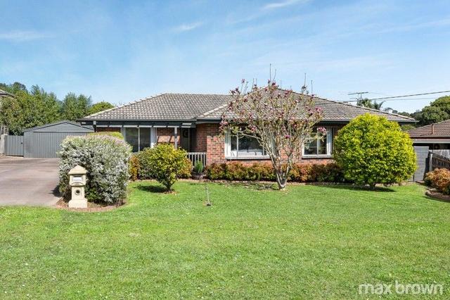 38 Nelson Road, VIC 3140