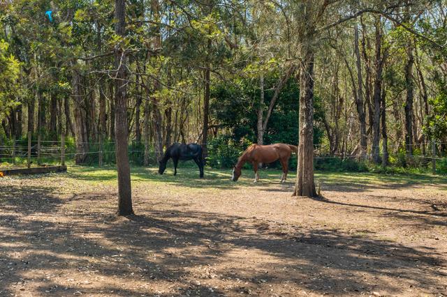 2 Warner Avenue, NSW 2259