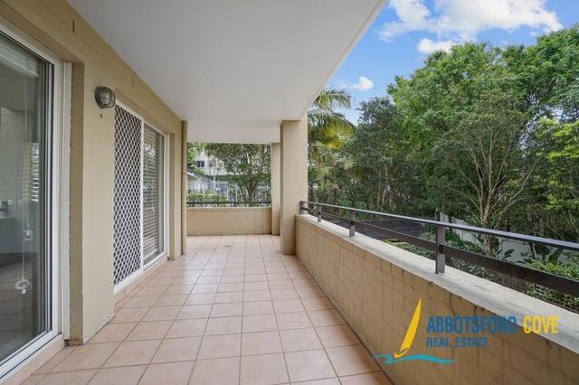 5/1 Fig Tree Avenue, NSW 2046