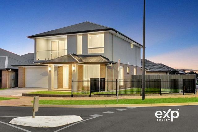 17 Phoenix Avenue, SA 5120