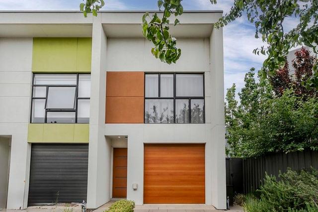 43 Trainer Street, SA 5011