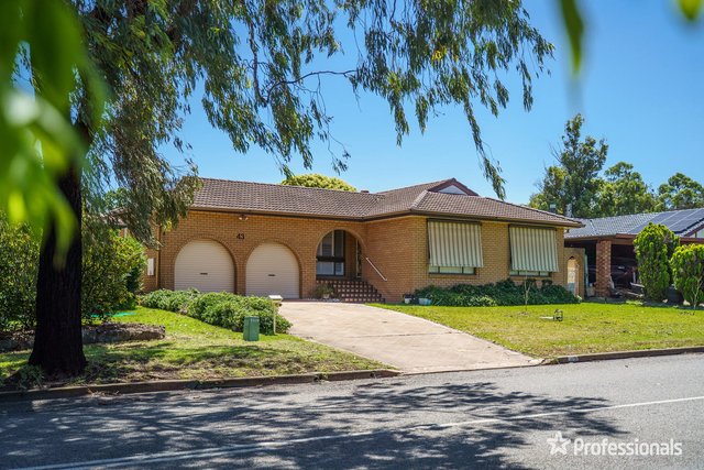 43 Shiraz Street, NSW 2333