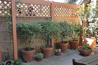 Courtyard (2005-03-19)