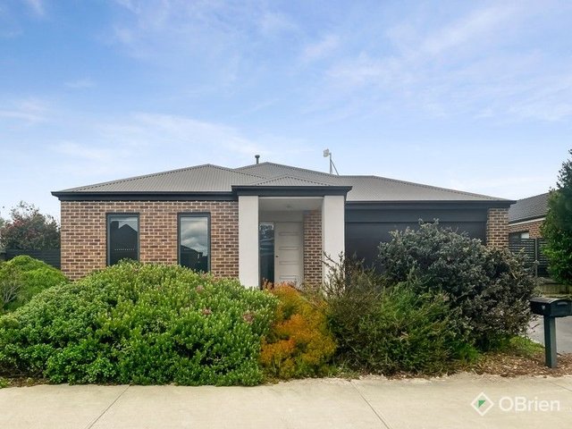 19 Sunridge Avenue, VIC 3820
