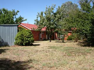 Backyard (2004-02-24)