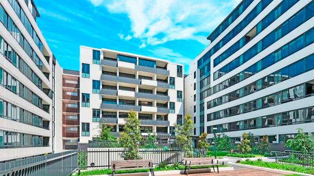 534/1D Lemon Tree Avenue, NSW 2114