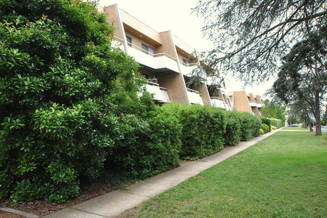 2A/43-51 Giles Street, ACT 2604