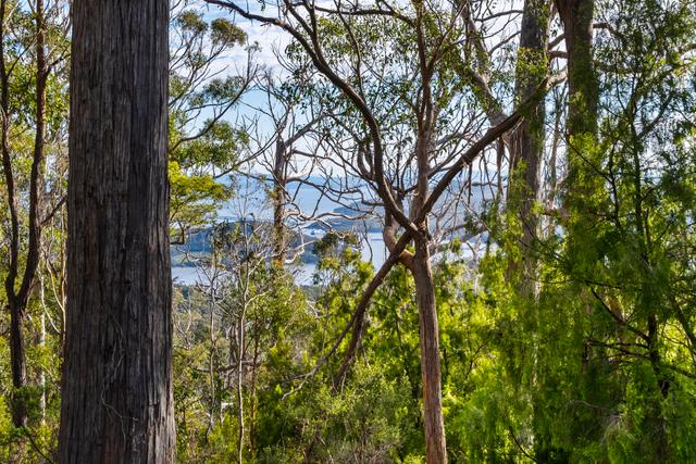 Lot 4 Tip Road, TAS 7184