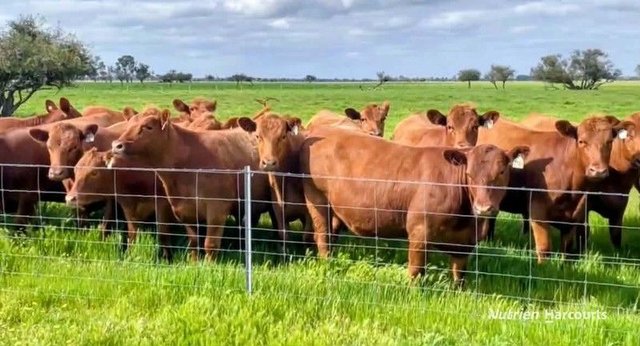 271 Mayfield Road (Beermullah), WA 6503