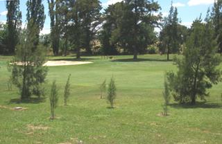 Golf Course (2005-02-14)