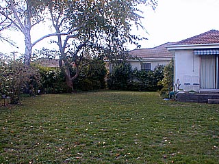 Rear yard