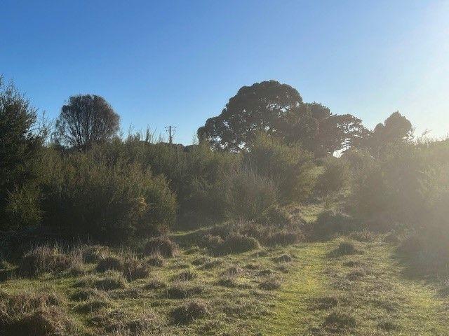 PID 6431469 Thunder & Lightning Road, TAS 7257