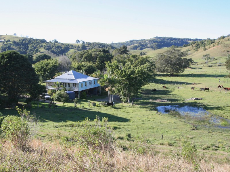17 pinetree place, piggabeen nsw 2486 - rural for sale