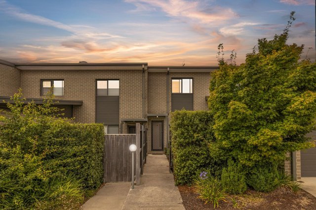 16/4 Annie Douglas Street, ACT 2913