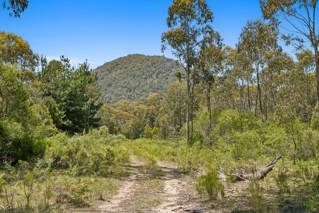321 Log Bridge Creek Road, NSW 2582