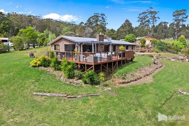 243 Kelcey Tier  Road, TAS 7310