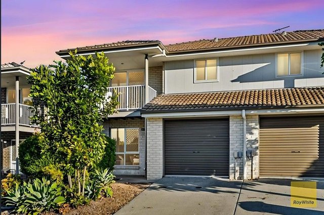 40/31 Lyrebird Street, QLD 4131