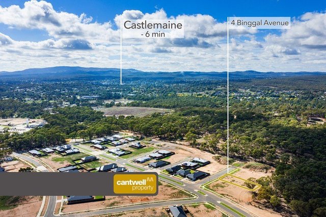 4 Binggal Avenue, VIC 3451