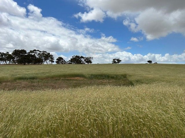 Lot 189 and 323 Roy Lawries Road, SA 5271