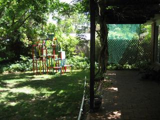 Backyard (2006-11-10)