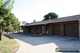 Frontyard (2006-03-23)