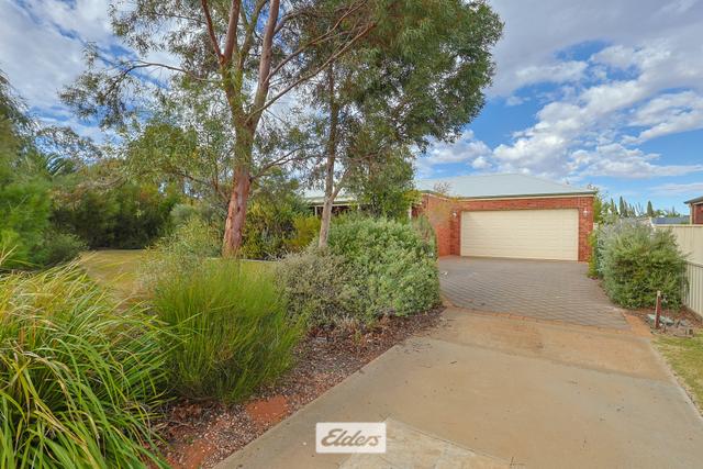 119 Wood Street, NSW 2738