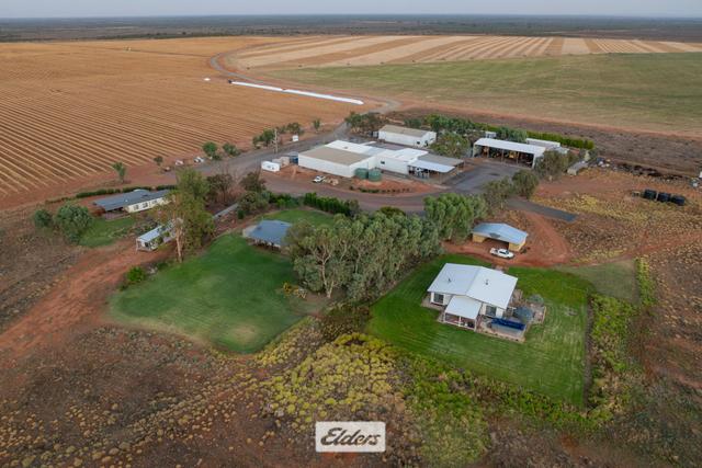 340 West Wilcannia Road, NSW 2879