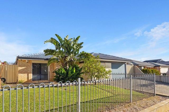63 Orchid Avenue, WA 6063