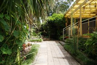 Backyard (2015-01-23)