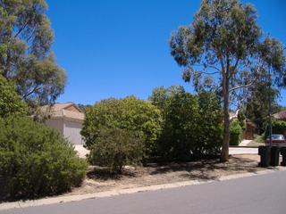 Front View (2014-06-25)