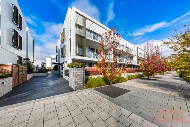 73/1 Surpize Place, ACT 2606