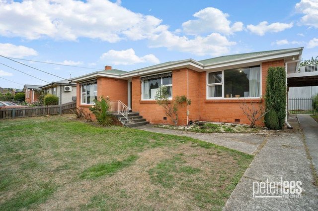 16 Harris Street, TAS 7250