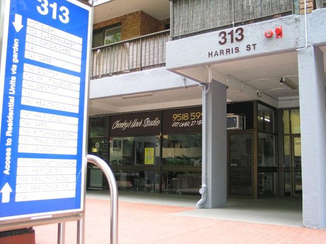58/313 Harris Street, NSW 2009