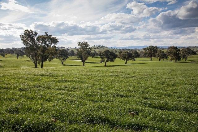 Burnt Yards Road, NSW 2792