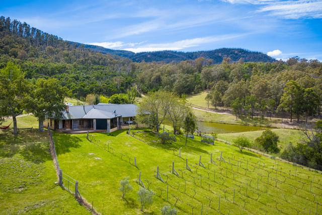 1838 Big Jack Mountain Road, NSW 2550