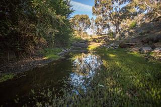 Brooks Creek (2019-11-18)
