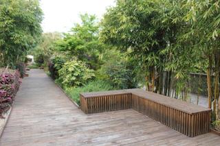 Garden (2012-10-10)