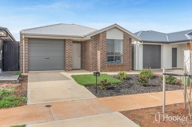 25 Ornata Street, SA 5115