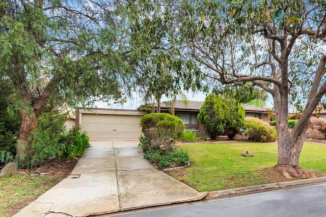 29 Aldrin Crescent, SA 5092